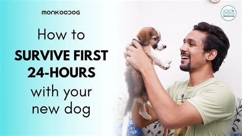 Everything To Know About Surviving The First 24 Hours With New Dog