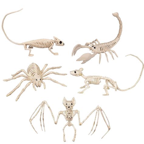 Buy Halloween Animal Skeletons 5 Pack 9 15 Size W Bendable Tails