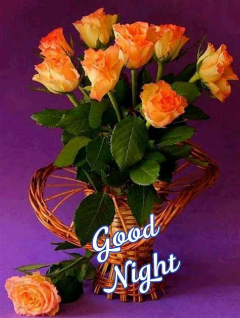 Pin by Aditi Kumari on Good night image | Good night flowers, Good night wishes, Good night image
