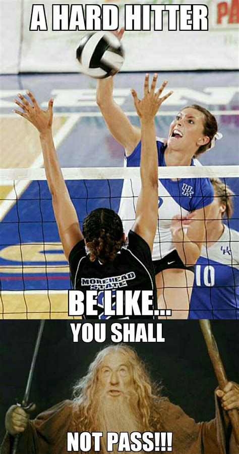Funny Volleyball Coach Memes Volleyball Games