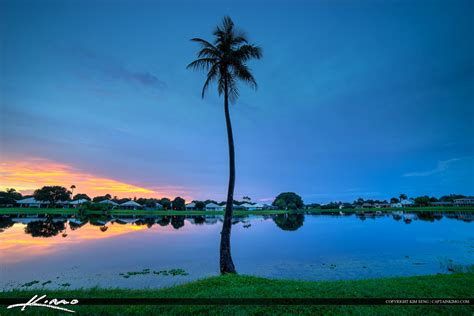 Coconut Tree At Lake Catherine During Sunset Hdr Photography By