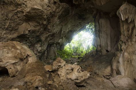 Limestone Caves In The Jungle Belize Stock Image Image Of Wilderness