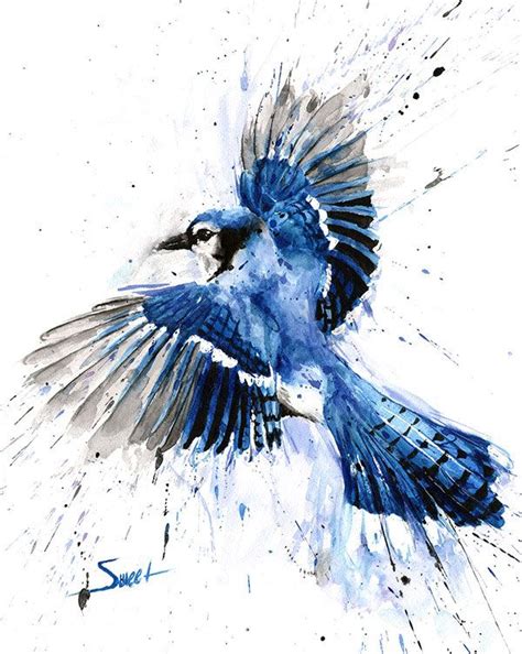 Blue Jay Flying Aquarelle Peinture Art Print Par Eric Sweet Etsy