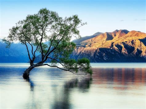 Free Download Lake Wanaka Beautiful Reflection New Zealand Wallpaper