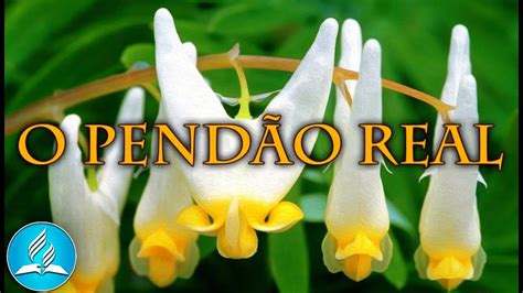 O Que Significa Pendão