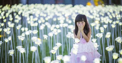 Light up flowers for windows. Rooftop garden of 25,000 LED roses light up for love in China