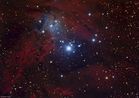 The Fox Fur Nebula Merry Christmas With A Beautiful Nebula Flickr