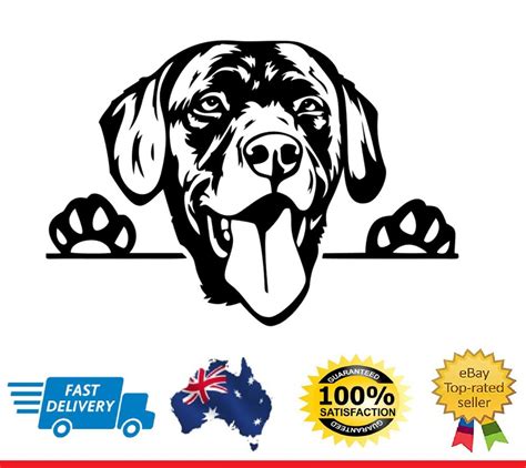 Labrador Retriever Dog Car Car Decals Vinyl Hunting Dogs Ebay