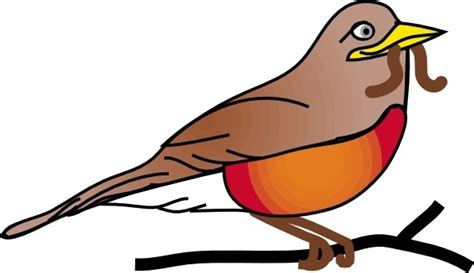 Robin Redbreast Free Vector Download 14 Free Vector For Commercial