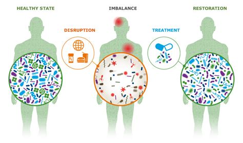 Janssen Human Microbiome Institute The Microbiome In Action