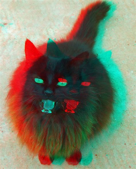 Cat In Anaglyph 3d Red Blue Glasses To View A Photo On Flickriver
