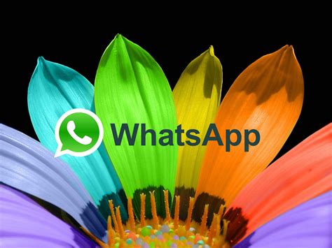 A cambia l'avatar in whatsapp, i passaggi che dobbiamo seguire sono molto semplici e richiederanno solo pochi secondi. Sfondi Profilo WhatsApp 2018: foto belle e immagini divertenti gratis, ecco dove trovarle ...