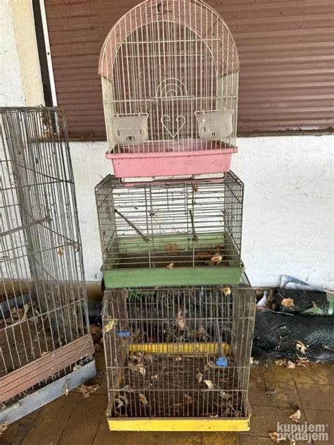 Kavezi Za Ptice Papagaje Kom Kupujemprodajem