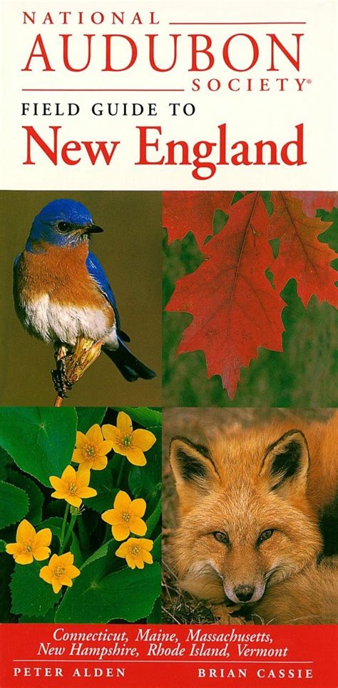 National Audubon Society Field Guide To New England Nhbs Field Guides