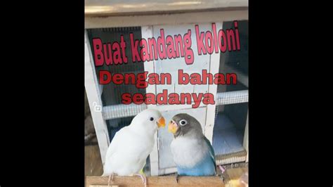 Cara membuat kandang lovebird galvalum. Cara membuat kandang koloni lovebird - YouTube