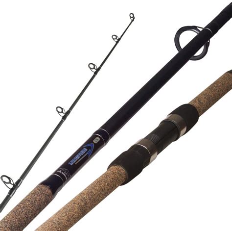 Best Surf Fishing Rods Reviews Buying Guide Hot Sex Picture