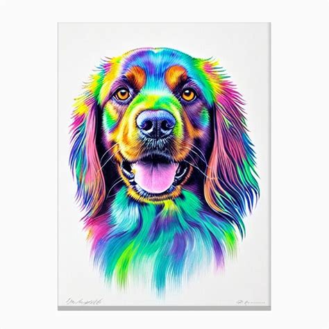 Boykin Spaniel Rainbow Oil Painting Dog Canvas Print By Pooch Prints Fy