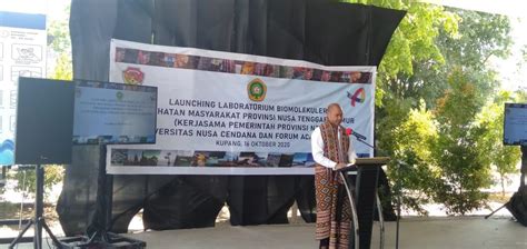 Harga tiket masuk pemandian air panas guci. Pemerintah NTT Gratiskan Biaya Swab dan Rapid Test - Beritalima.com