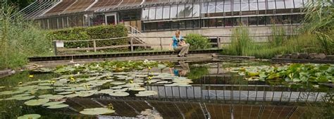 Entdeckt im botanischen garten in die 21 hektar große gartenanlage zählt zu den artenreichsten pflanzensammlungen in deutschland. Botanischer Garten Heidelberg