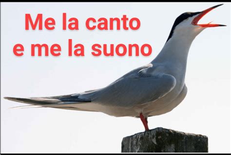 Se La Canta E Se La Suona Italianosemplicemente Impara La Lingua Italiana Con Divertimento