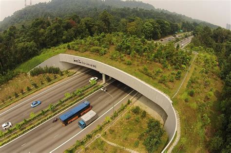 Eco Link Over The Bukit Timah Expressway In Singapore 1118x745 Infrastructureporn