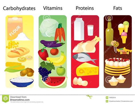 Pin On Protein Food Group