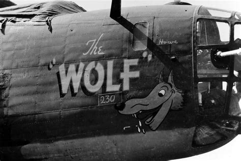 B 24 Liberator 308th Bomb Group Nose Art The Wolf World War Photos