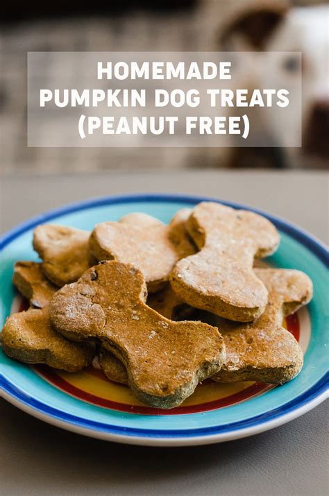 Homemade Pumpkin Dog Treats Without Peanut Butter Fresh April Flours