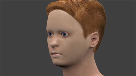Realistic Child Boy Head Face And Hair 3d Model 29 Unknown Fbx