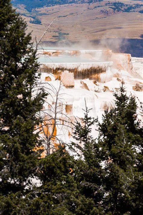 Mammoth Hot Springs Yellowstone National Park Stock Photo Image Of