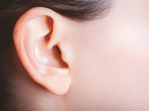 ‘elf Ears Are A New Surgery Trend In China Say Reports The Independent