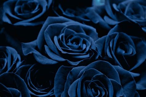 Maybe you would like to learn more about one of these? Blue Flowers Wallpapers - Wallpaper Cave