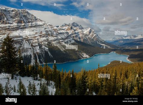 Lake Peyto In Banff National Park Stock Photo Alamy