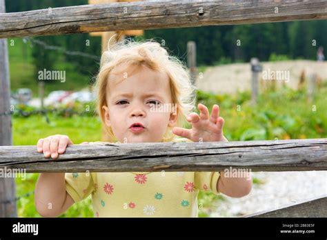 Cute Blonde Girl Climbing Across Wooden Fence On Mountain Pasture Stock