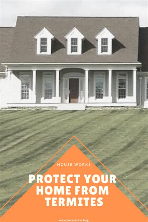 Protecting Your House From Termites Protecting Your Home Termites