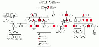 With this in mind, is huntington's. Pedigree Worksheet Answers - worksheet