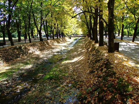 Autumn Leaves And Trees On River Stock Image Image Of Colourful