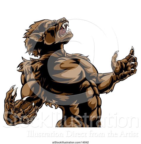 Vector Illustration Of Werewolf Beast Howling And Transforming By Atstockillustration