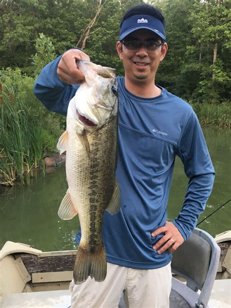 Big al, steve paul, trill gatez, millenium funk & rum & coke. How to Catch Largemouth Bass - Tips for Fishing for ...