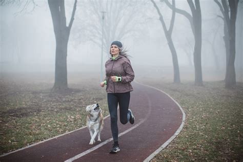 Fau Running Throughout Middle Age Keeps ‘old Adult Born Neurons ‘wired