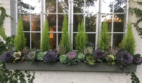 Window Box Plants For Winter Windowcurtain