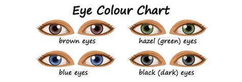 What Is The Meaning Of Eye Color