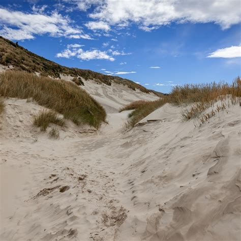 Premium Photo Sand Dunes At Sandfly Bay South Island New Zealand