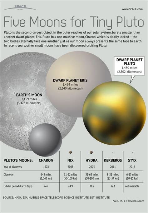 Plutos 5 Moons Explained How They Measure Up Infographic Dwarf