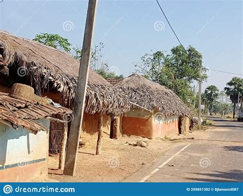 Huts In Village Of Dumka Area In Jharkhand Stock Photo Image Of