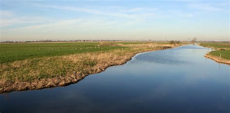 Dutch Polder Landscape Free Photo Download Freeimages