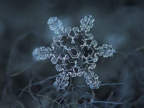 Delicate Beauty Of Snowflakes Captured In Extreme Close Up Photographs