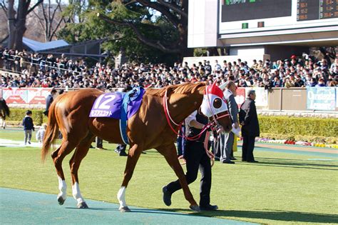 The yasuda kinen is a japanese international grade i thoroughbred horse race held at the tokyo racecourse in tokyo. JRAモズアスコット「次走」かしわ記念（G1）へ! 高松宮記念 ...