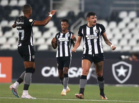 Botafogo 2 X 0 Fortaleza Gols Melhores Momentos E Ficha Do Jogo