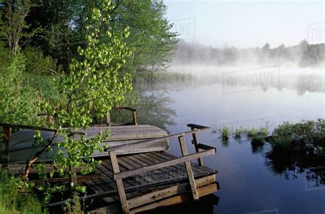 Lake Covered With Morning Mist Stock Photo Dissolve